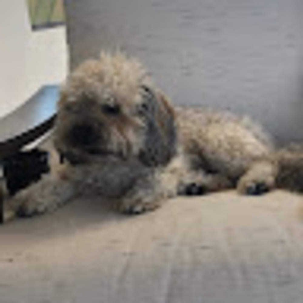 Meet your Posher, Cristina